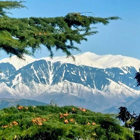 Aditya Homestay Dalhousie Exteriér fotografie