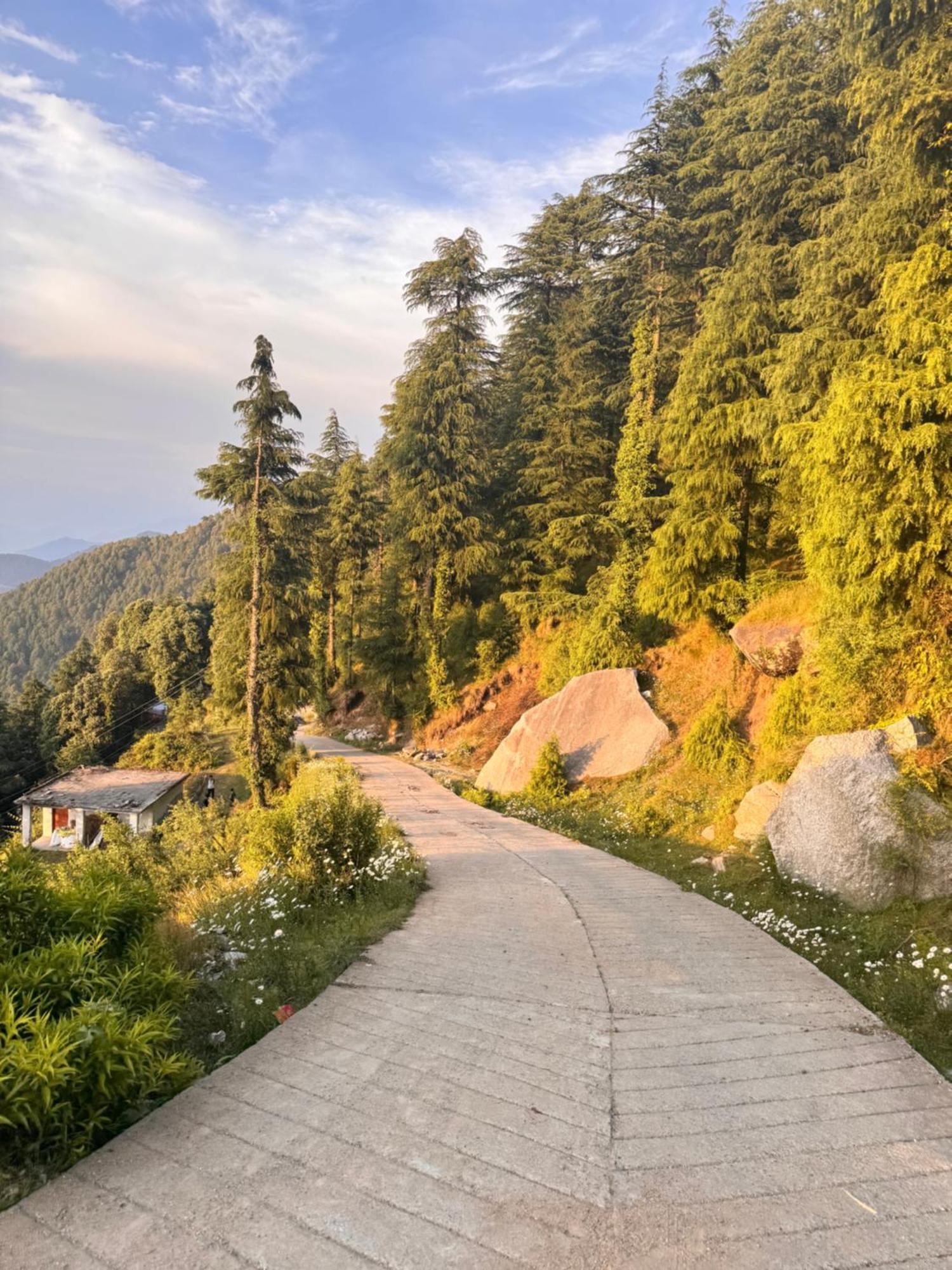 Aditya Homestay Dalhousie Exteriér fotografie