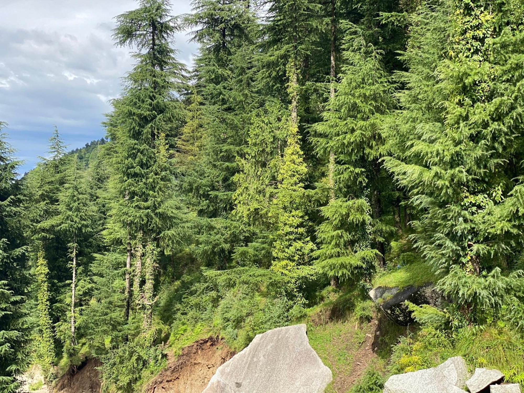 Aditya Homestay Dalhousie Exteriér fotografie