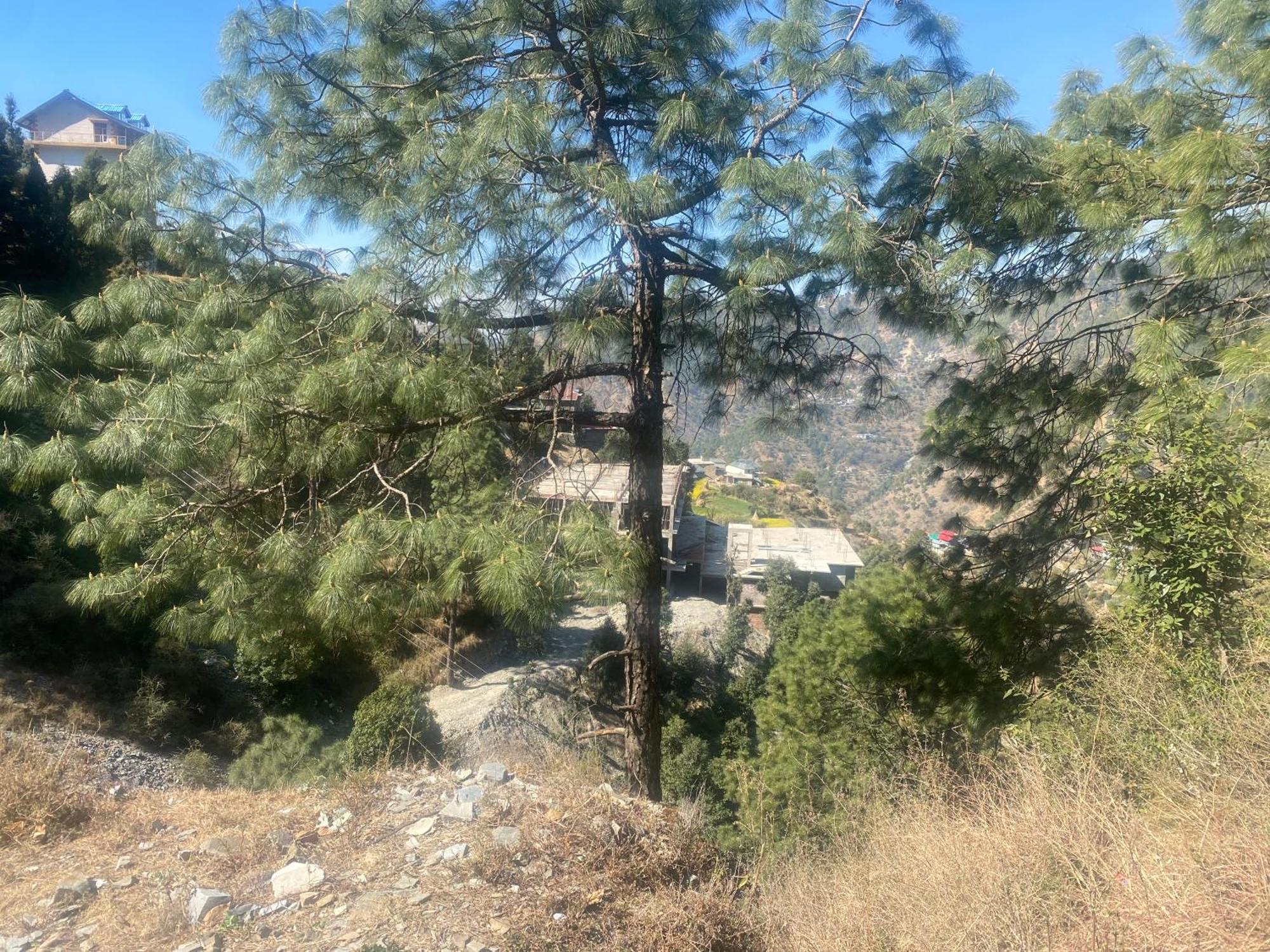Aditya Homestay Dalhousie Exteriér fotografie