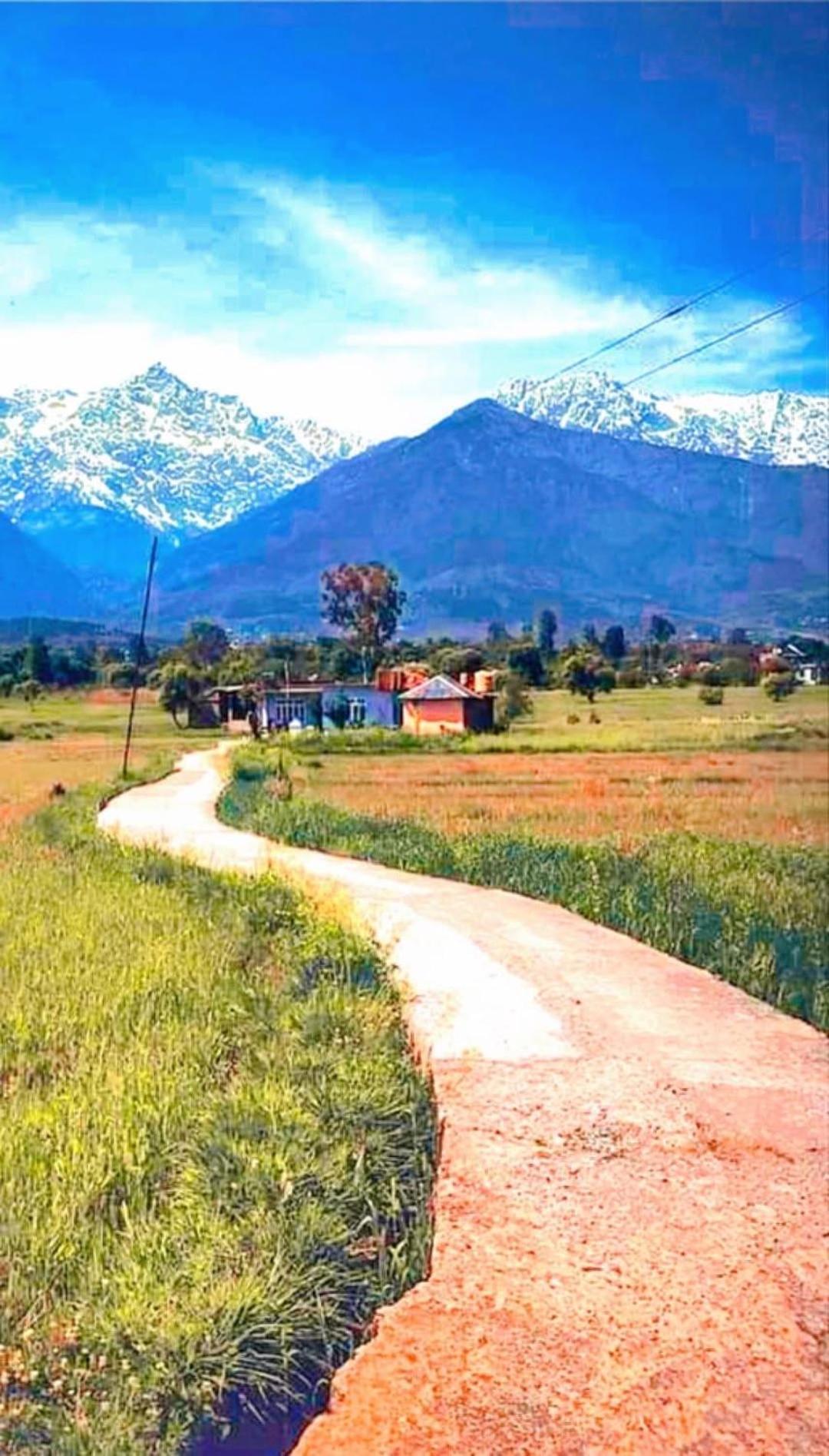 Aditya Homestay Dalhousie Exteriér fotografie