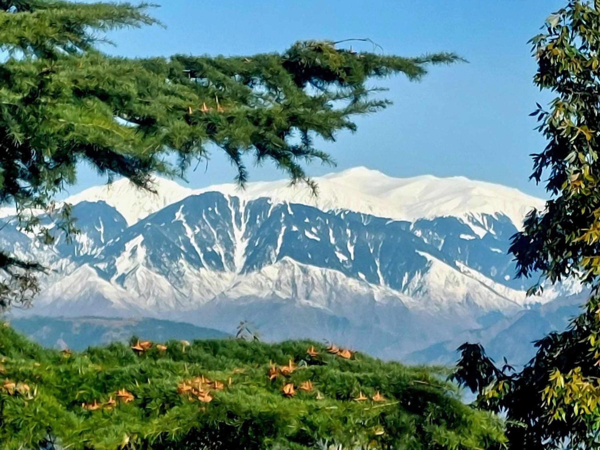 Aditya Homestay Dalhousie Exteriér fotografie