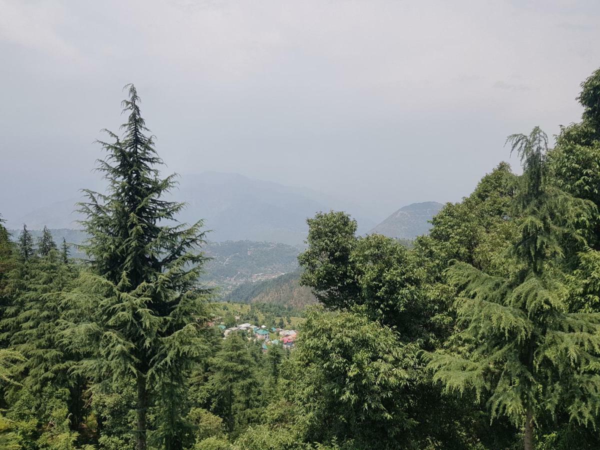 Aditya Homestay Dalhousie Exteriér fotografie